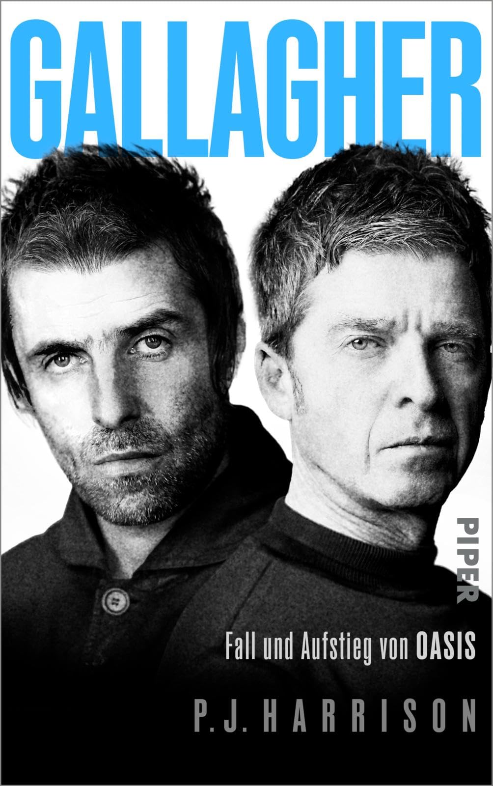Gallagher Pop culture