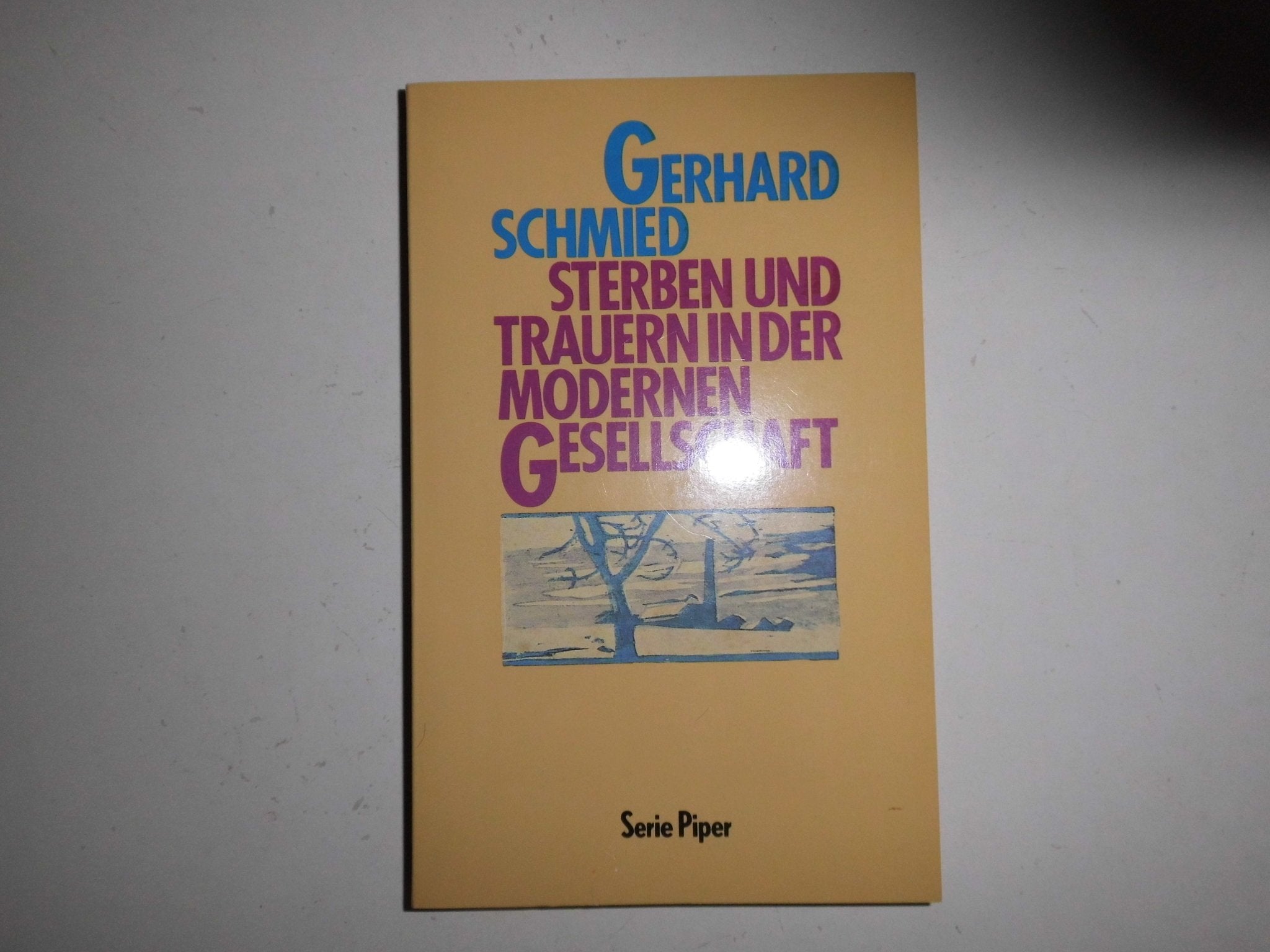 Sterben und Trauern in der modernen Gesellschaft (Piper Taschenbuch) Death & Mourning