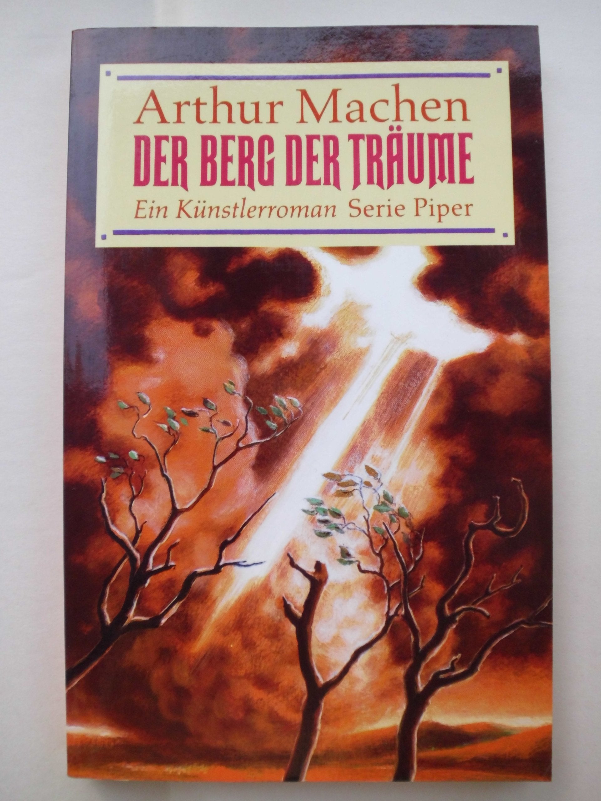 Der Berg der Träume: Ein Künstlerroman (Piper Taschenbuch) Books