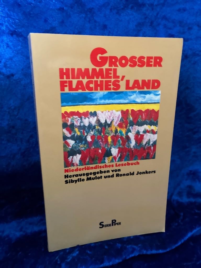 Grosser Himmel, flaches Land: Niederländisches Lesebuch (Piper Taschenbuch) Books
