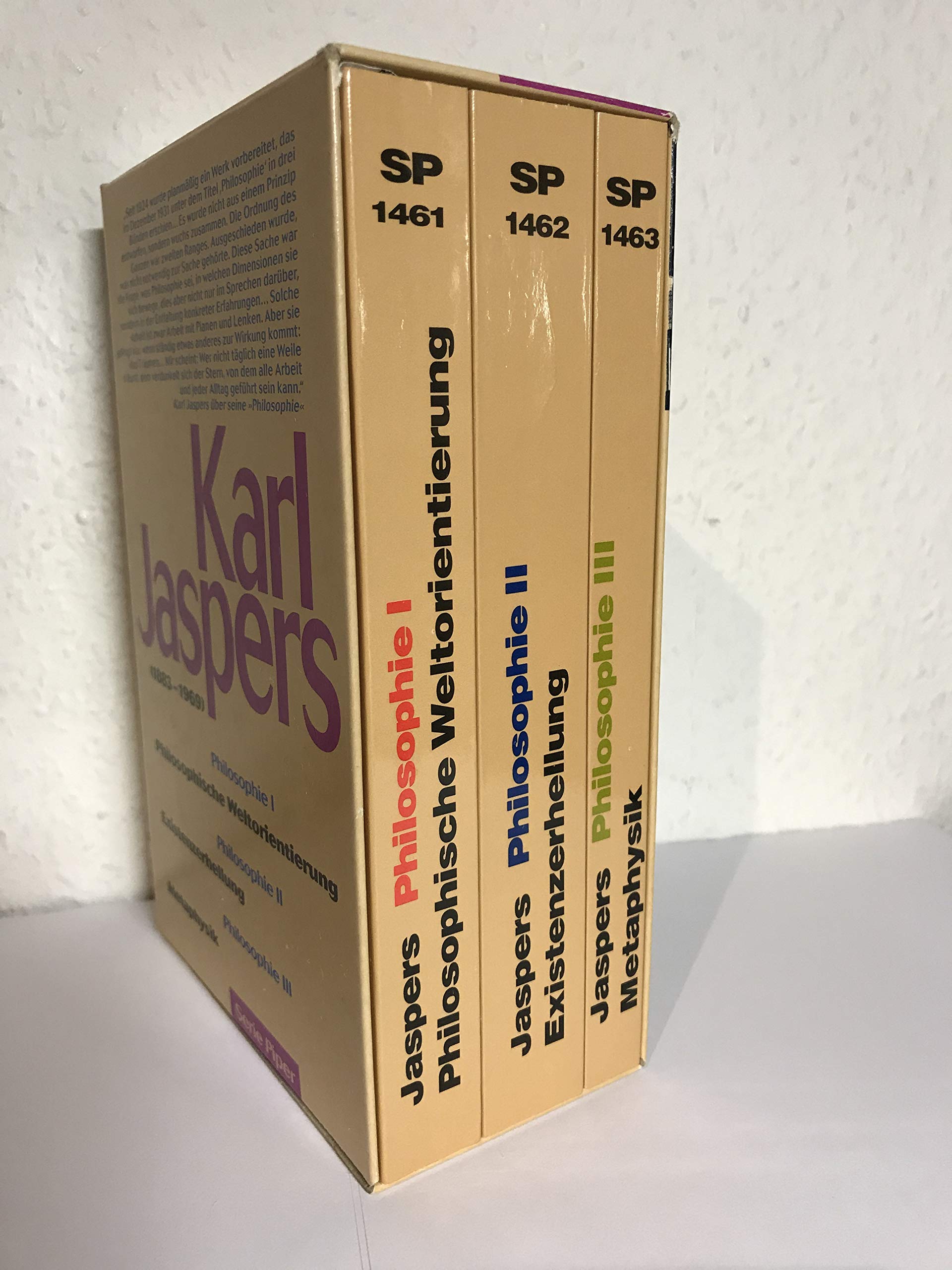 Philosophie I-III (Piper Taschenbuch) Philosophy