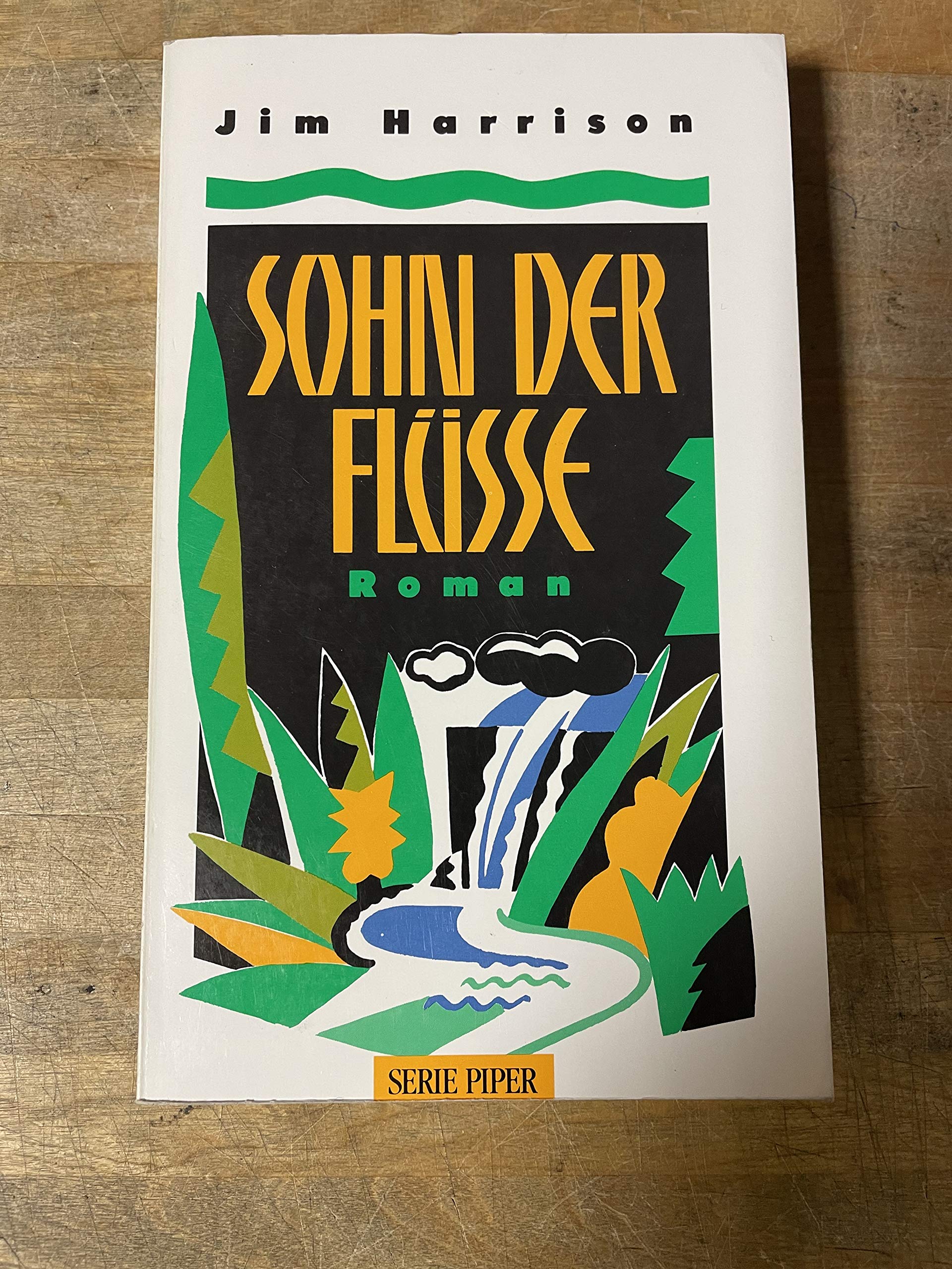 Sohn der Flüsse: Roman (Piper Taschenbuch) Books
