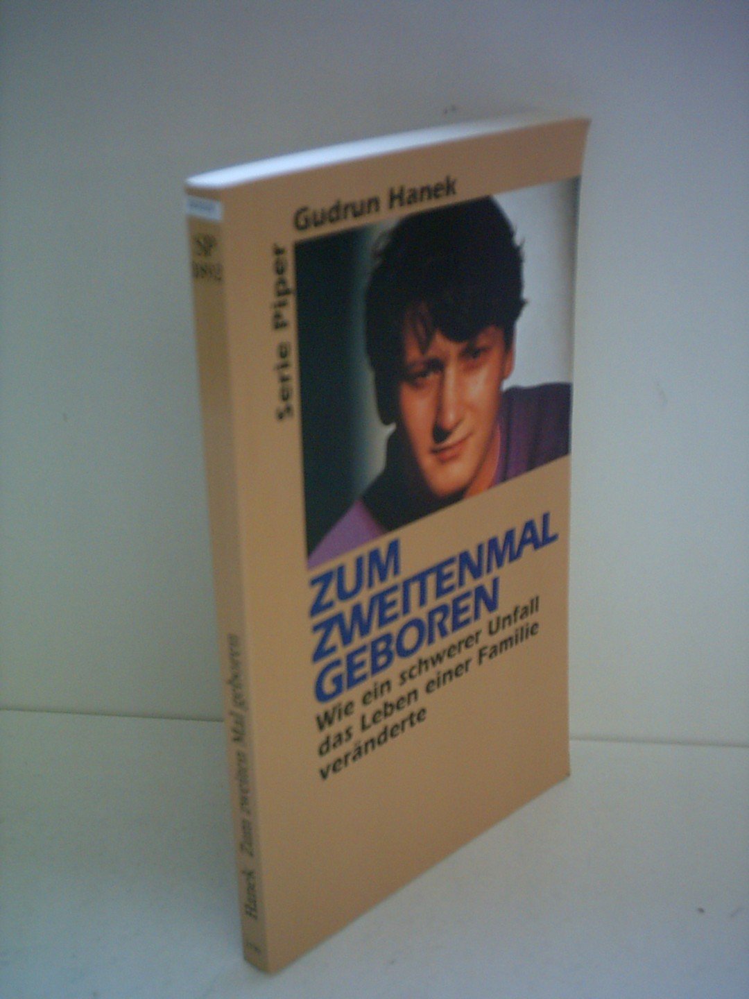 Zum zweitenmal geboren: Wie ein schwerer Unfall das Leben einer Familie veränderte (Piper Taschenbuch) Memories