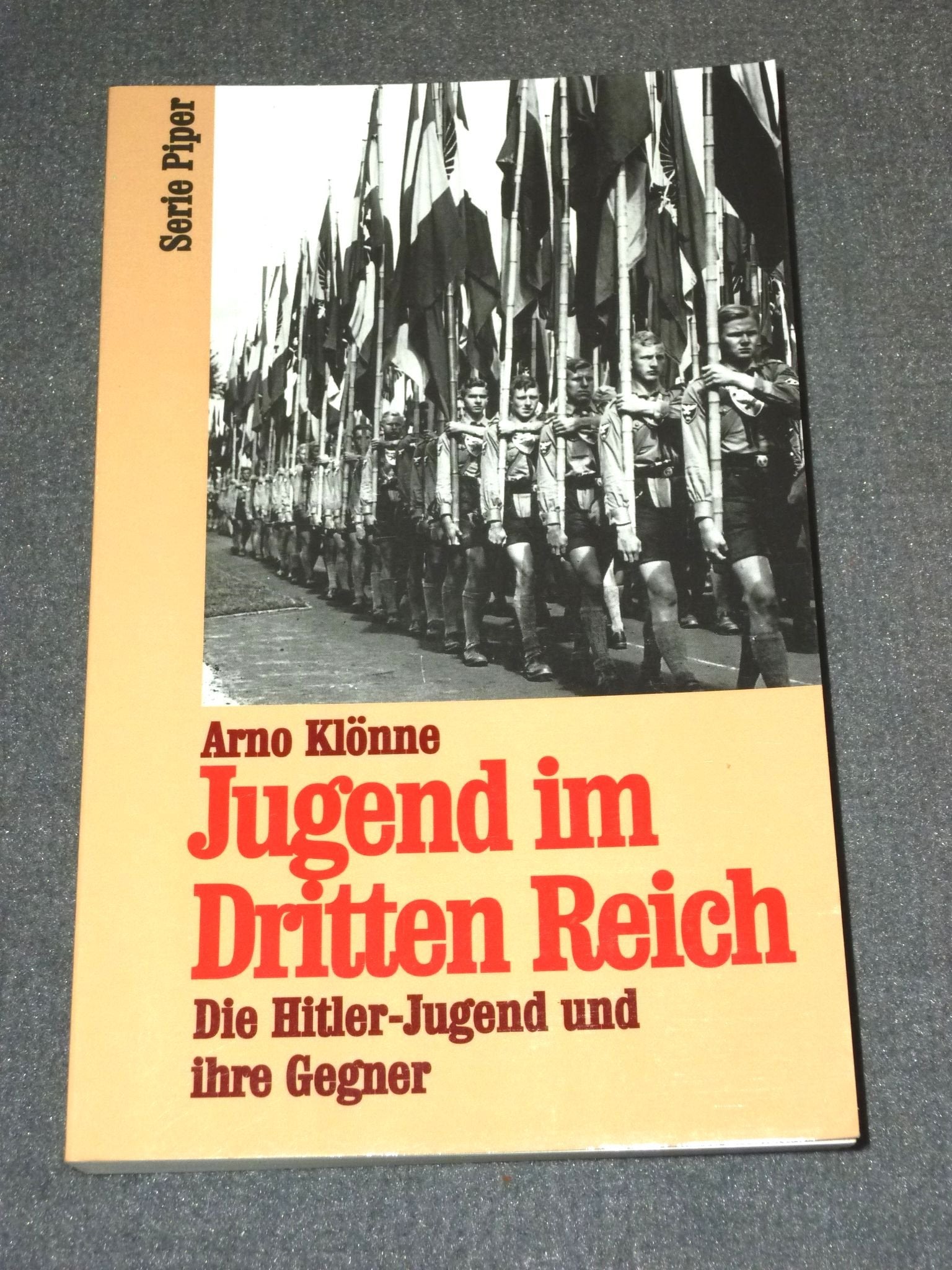 Jugend im Dritten Reich: Die Hitler-Jugend und ihre Gegner (Piper Taschenbuch) German history