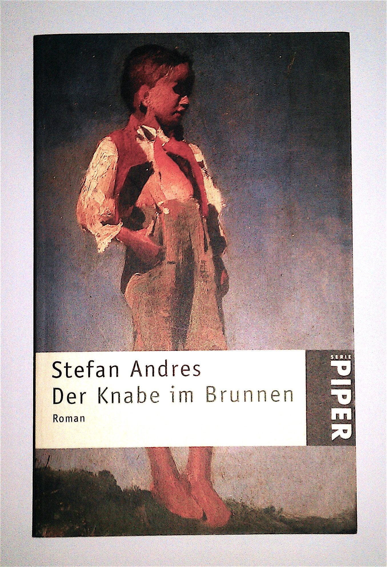 Der Knabe im Brunnen: Roman (Piper Taschenbuch) Contemporary literature