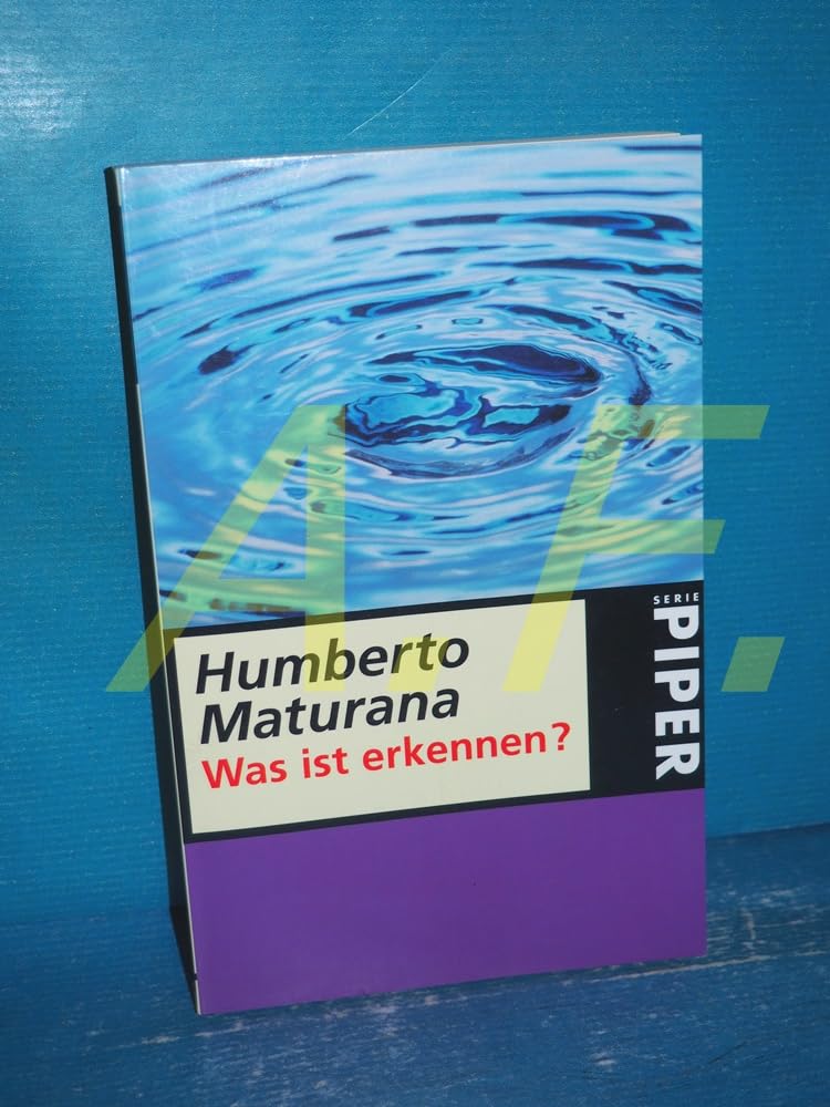 Was ist erkennen? (Piper Taschenbuch) Philosophy