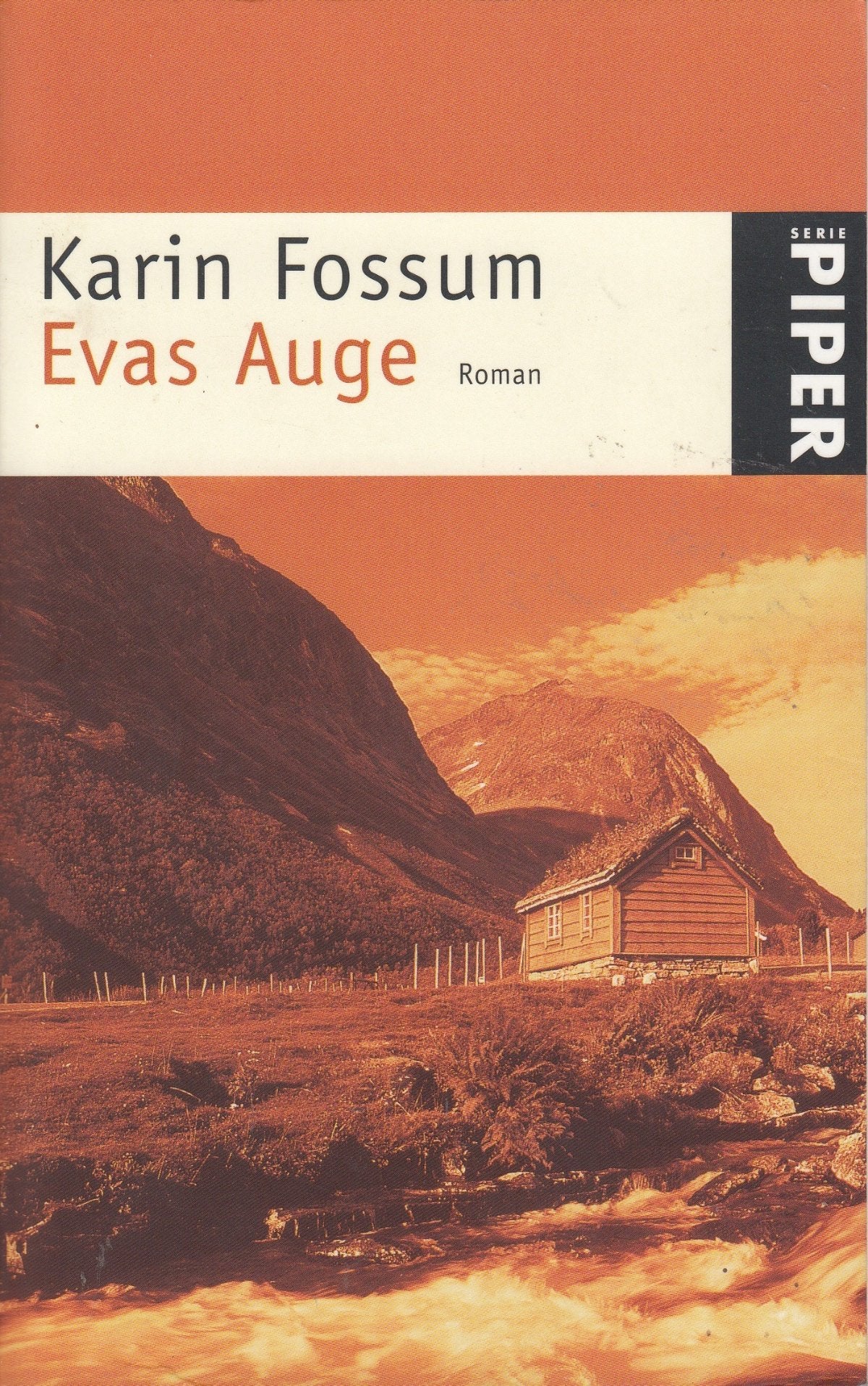 Evas Auge: Roman (Piper Taschenbuch) Contemporary literature