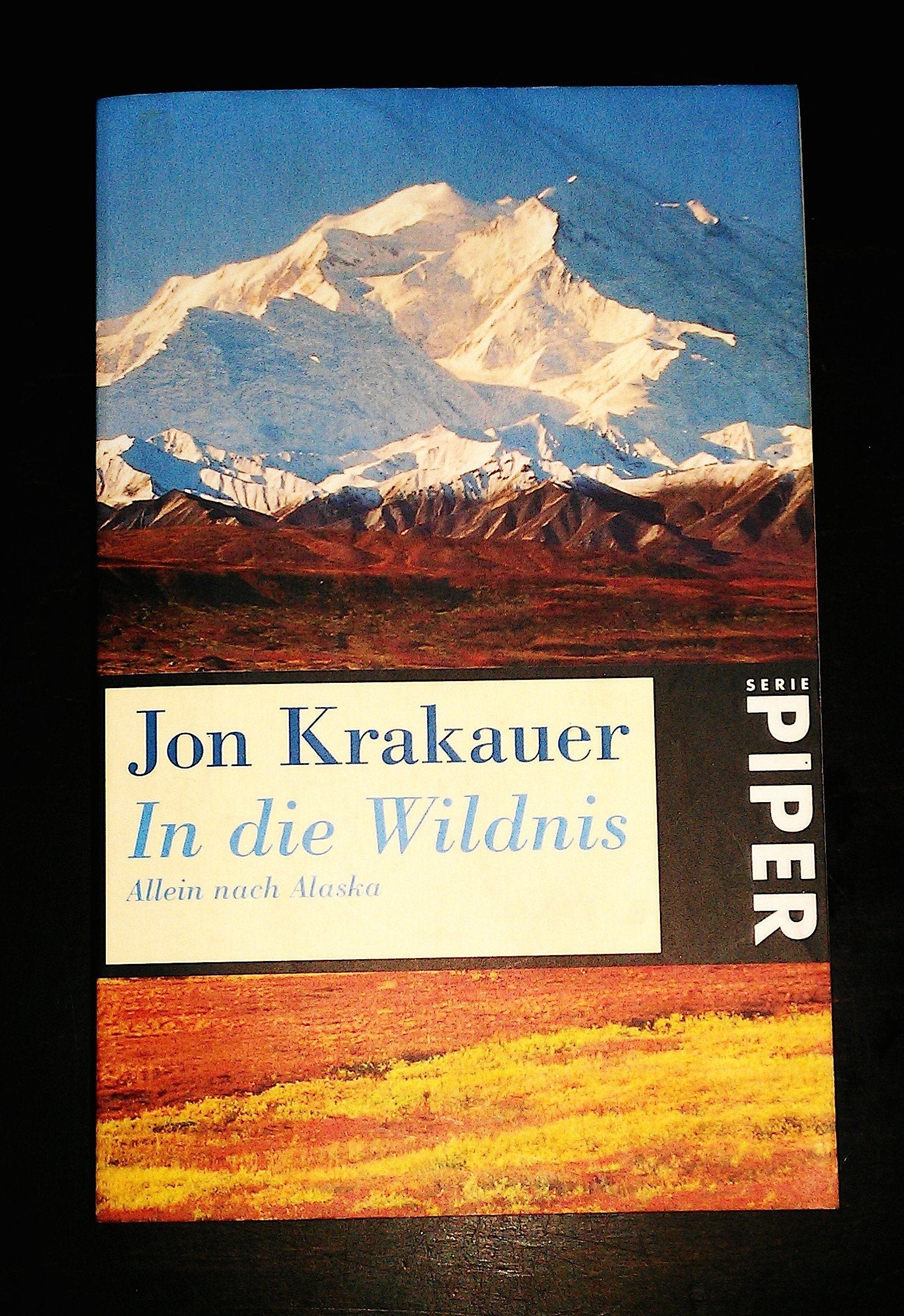 In die Wildnis. Allein nach Alaska (Piper Taschenbuch) Leisure, Home & Garden