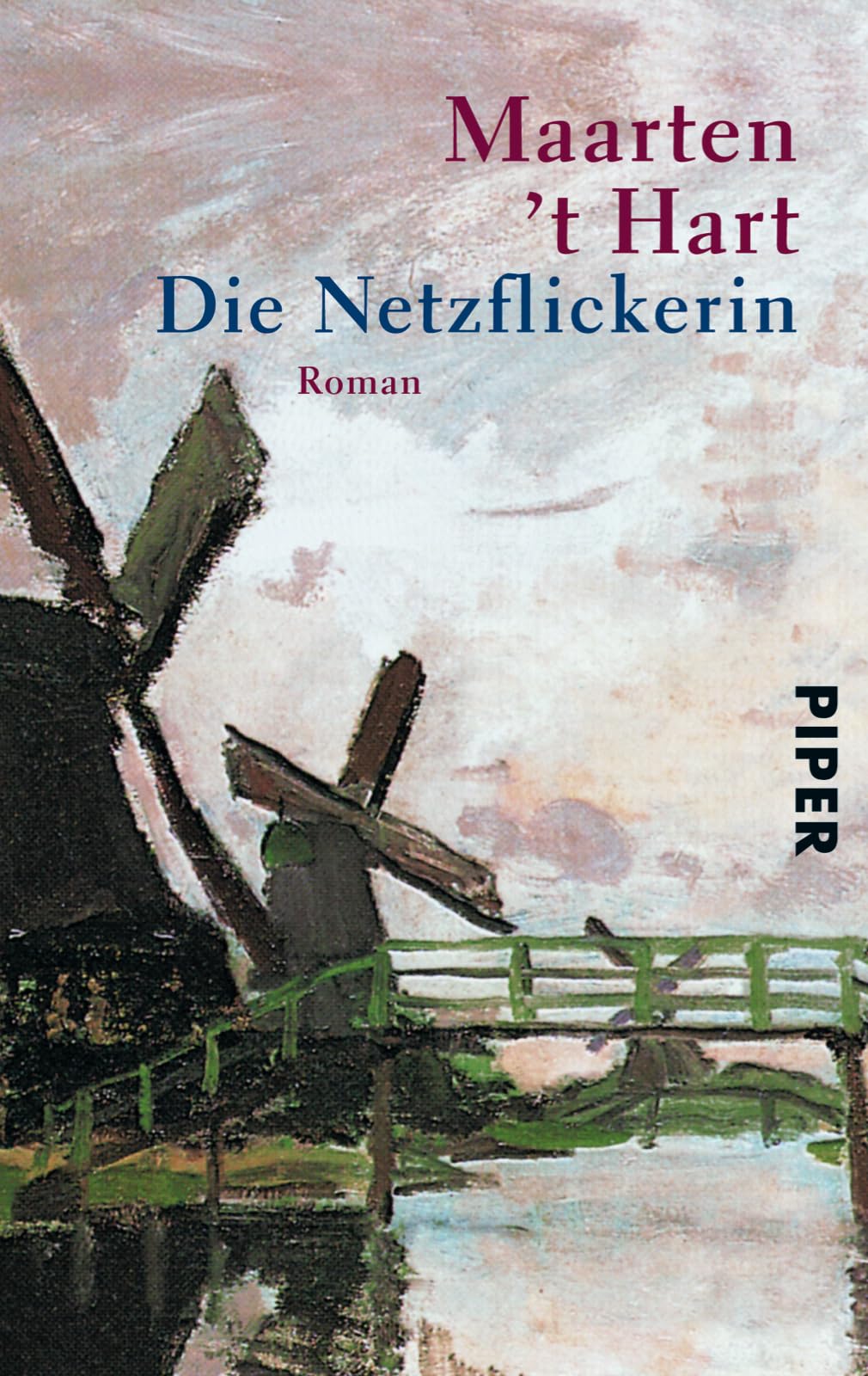 Die Netzflickerin Contemporary literature Books