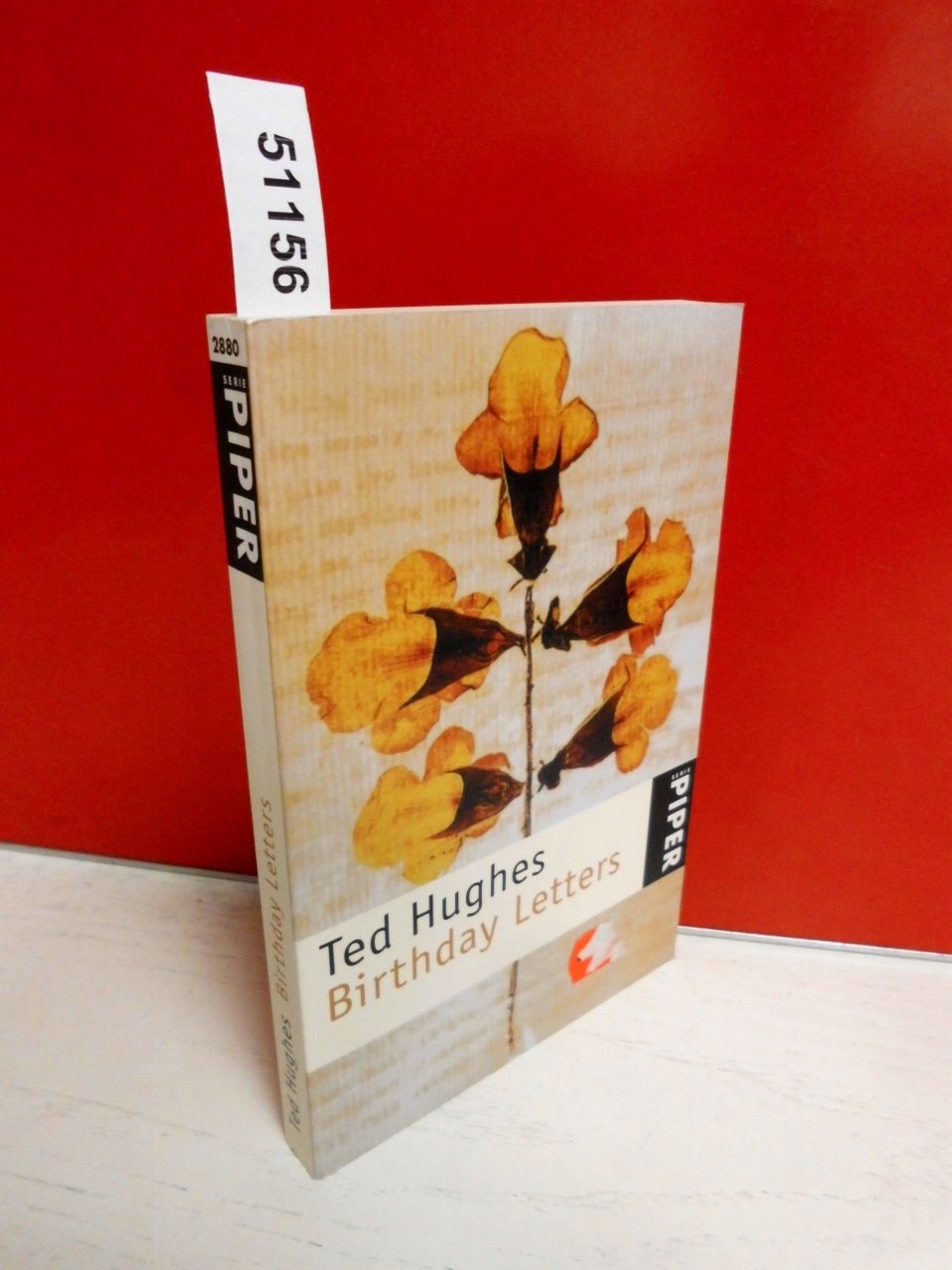 Birthday Letters: Gedichte (Piper Taschenbuch) Poetry