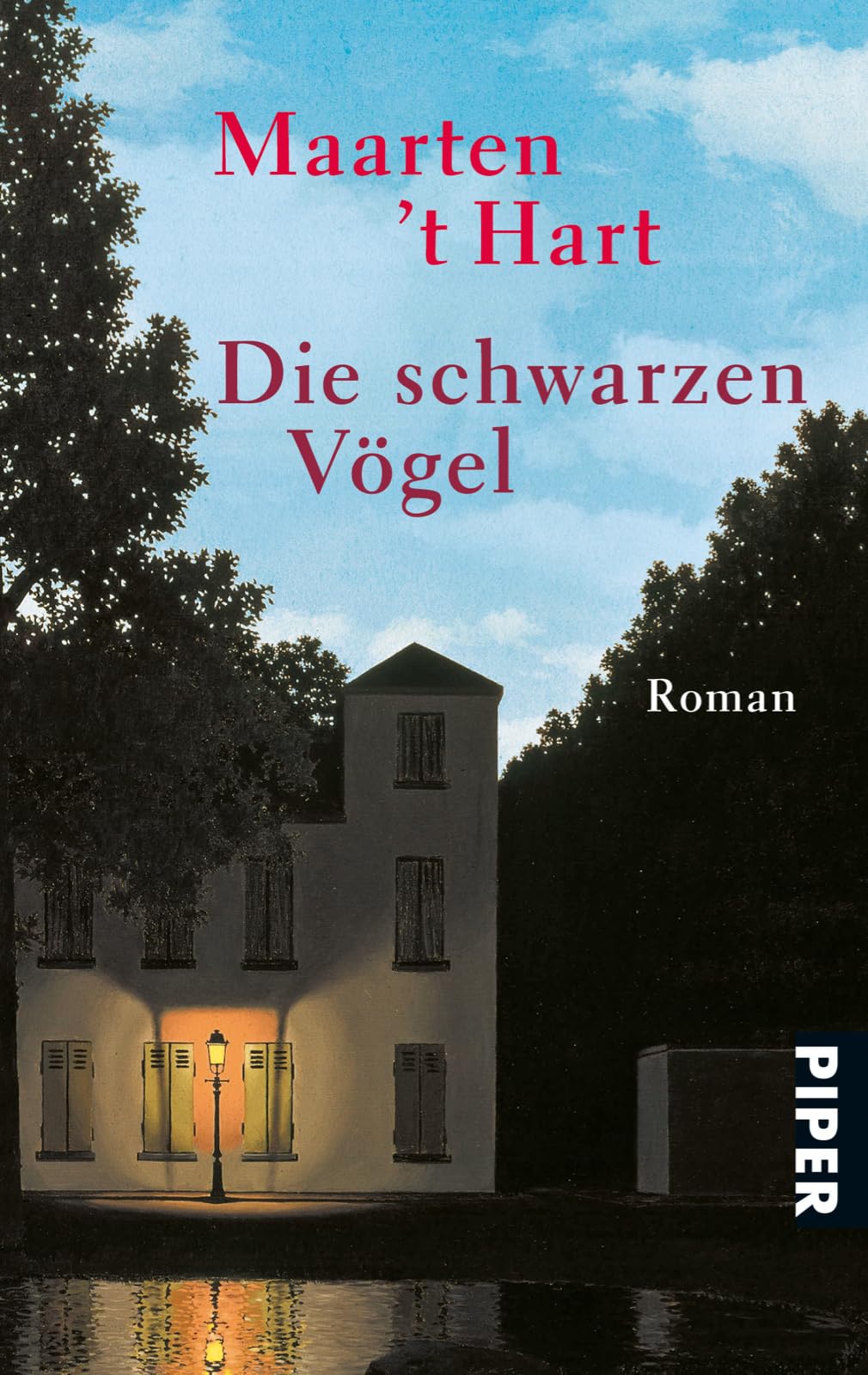 Product Image: Die schwarzen Vögel
