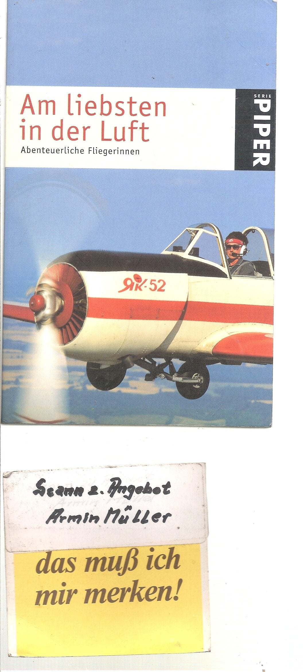 Am liebsten in der Luft: Abenteuerliche Fliegerinnen (Piper Taschenbuch) Leisure & Fun
