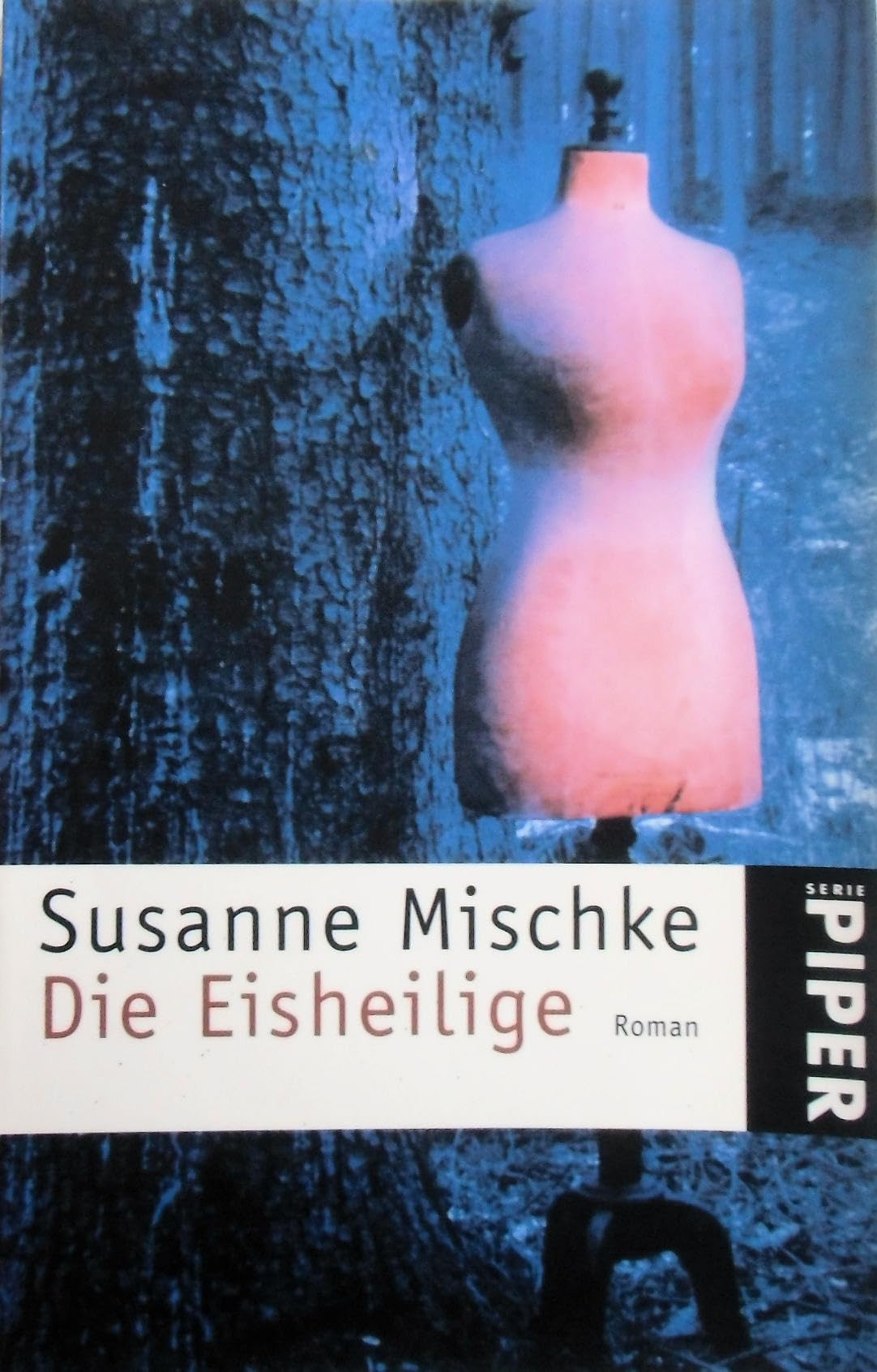 Die Eisheilige: Roman (Piper Taschenbuch, Band 3053) Contemporary literature