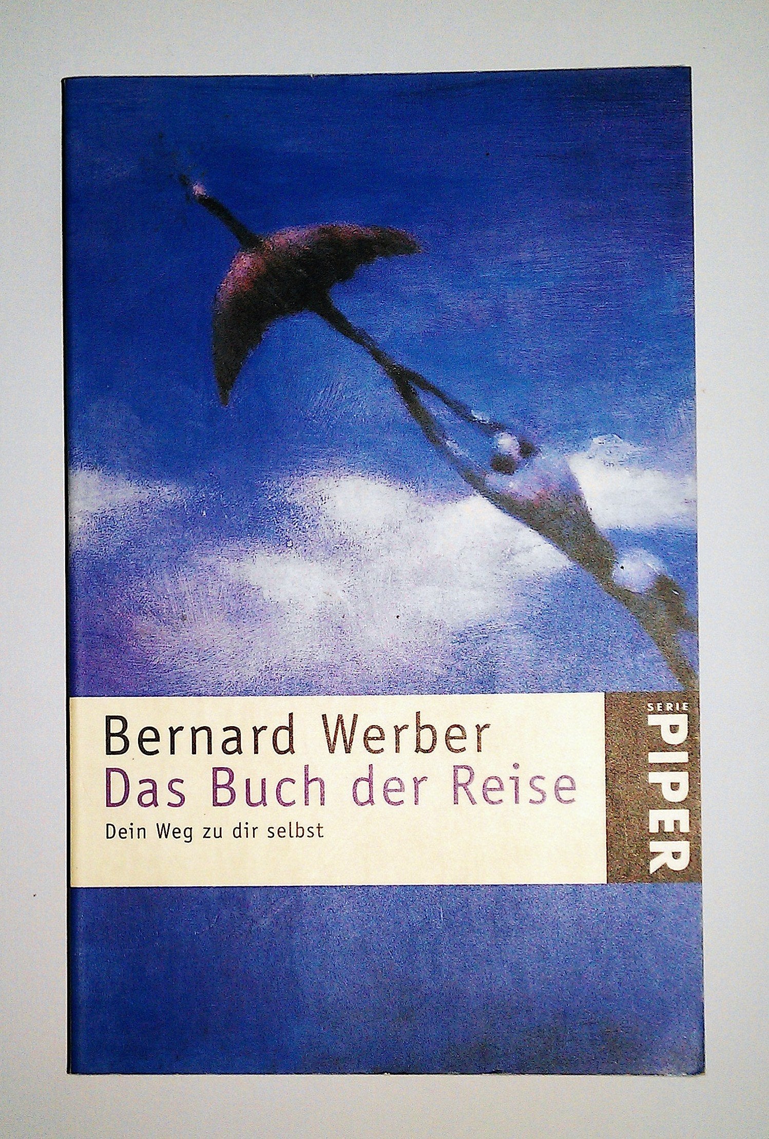 Das Buch der Reise: Dein Weg zu dir selbst (Piper Taschenbuch) Classics