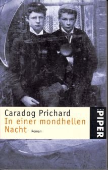 In einer mondhellen Nacht: Roman (Piper Taschenbuch) Books
