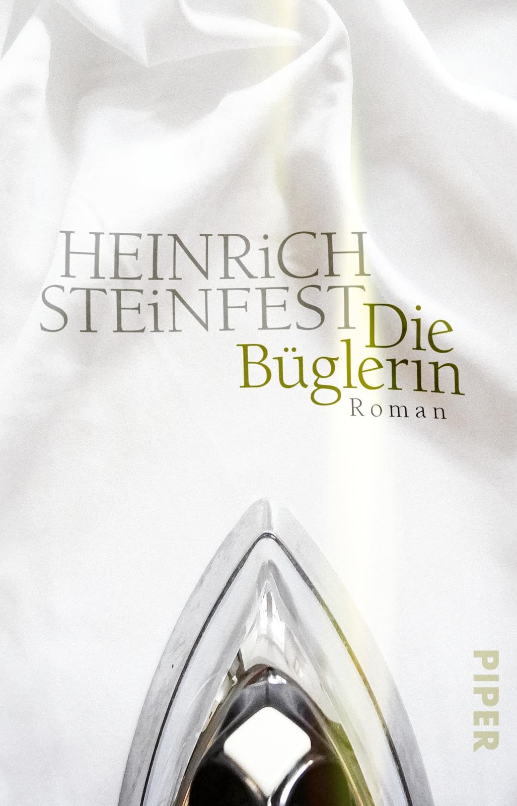 Die Büglerin Contemporary literature Books