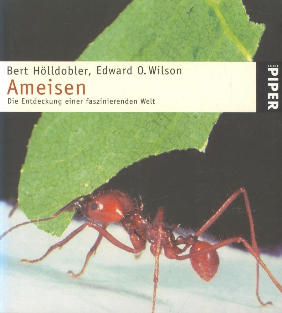 Ameisen: Die Entdeckung einer faszinierenden Welt (Piper Taschenbuch, Band 3414) Natural Sciences