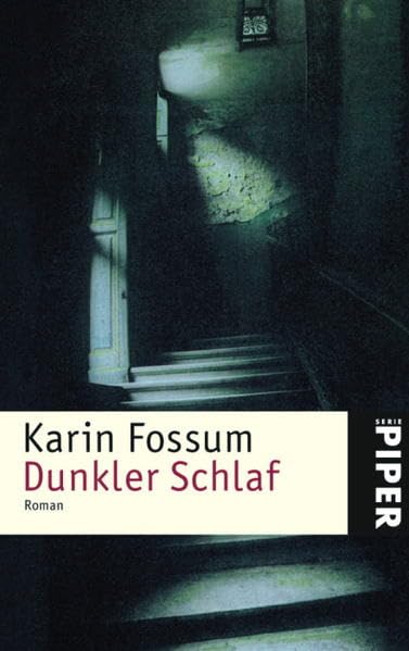Dunkler Schlaf: Roman (Konrad Sejer, Band 4) Contemporary literature