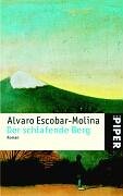 Der schlafende Berg: Roman (Piper Taschenbuch, Band 4243) Contemporary literature