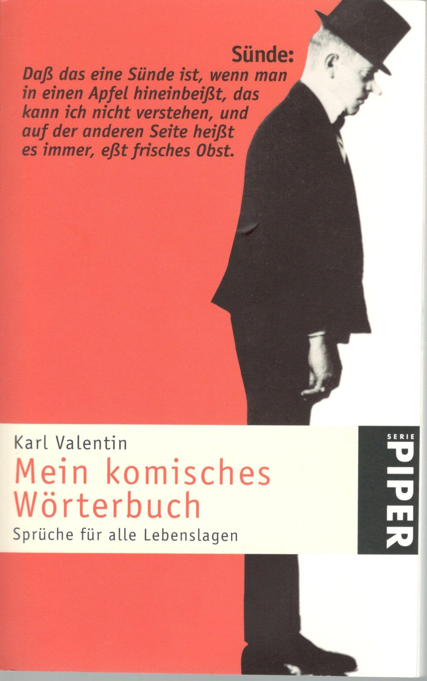 Mein komisches Wörterbuch Contemporary literature