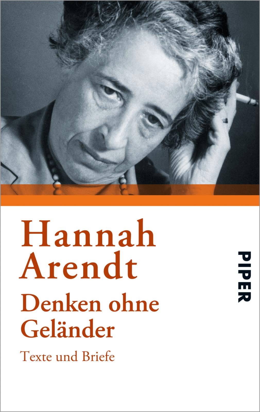 Denken ohne Geländer Philosophy