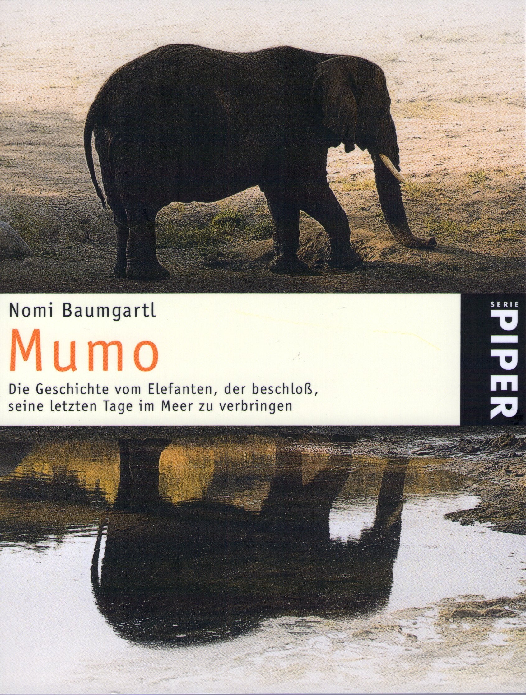 Mumo: Die Geschichte vom Elefanten, der beschloß, seine letzten Tage im Meer zu verbringen: Die Geschichte vom Elefanten, der beschloss, seine letzten ... zu verbringen (Piper Taschenbuch, Band 24847) Fiction Books