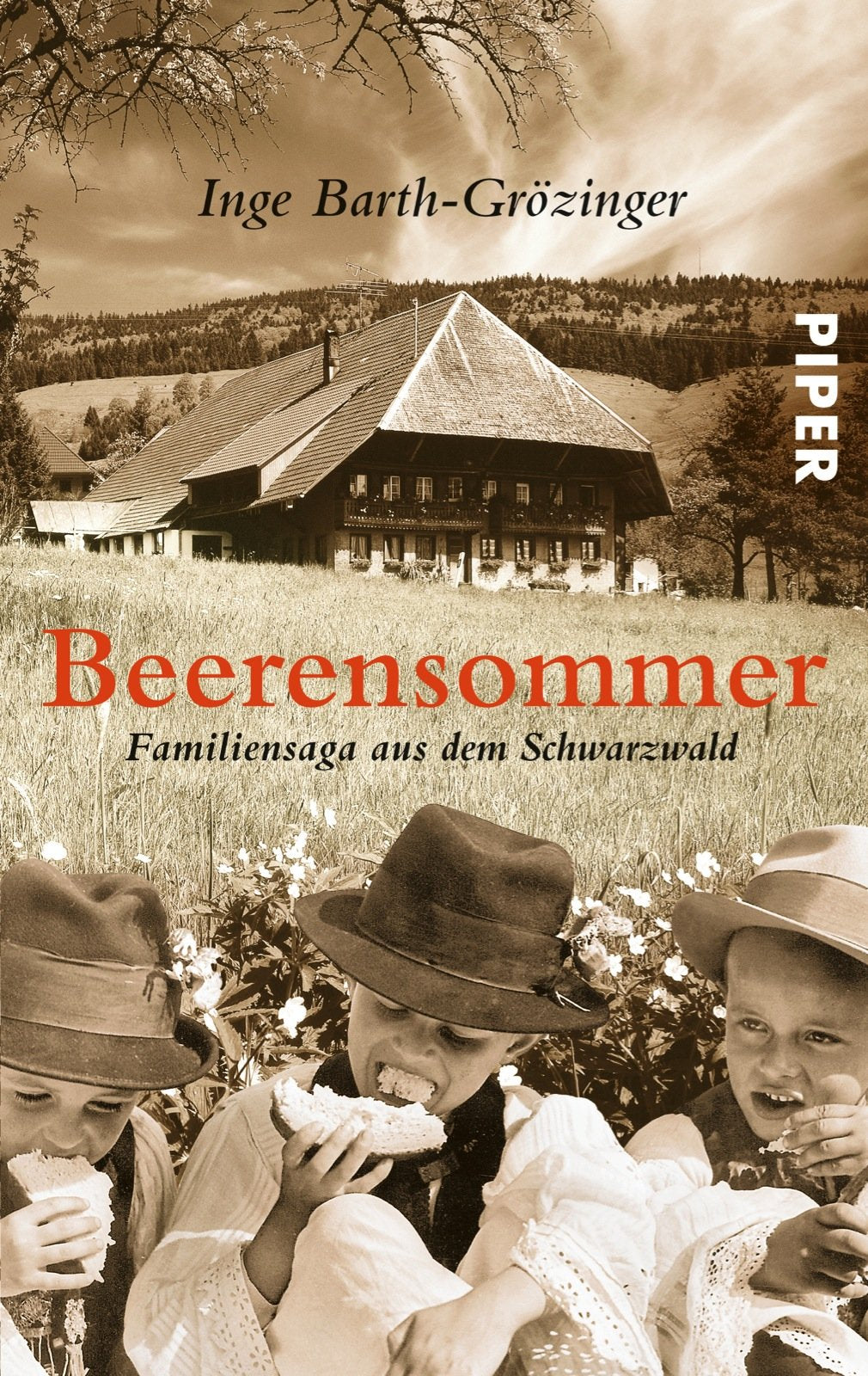 Beerensommer: Familiensaga aus dem Schwarzwald Contemporary literature