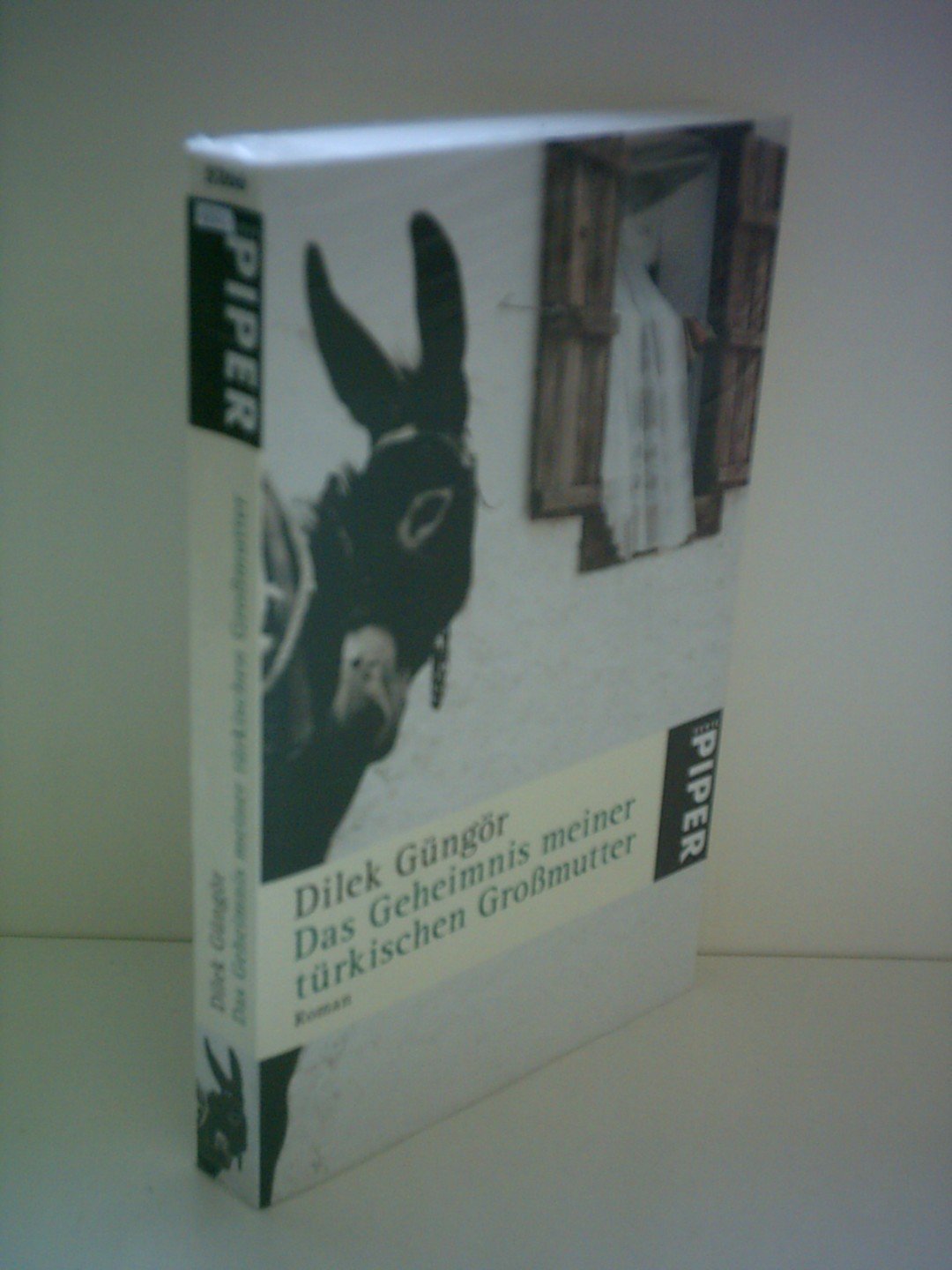 Das Geheimnis meiner türkischen Großmutter Social Sciences
