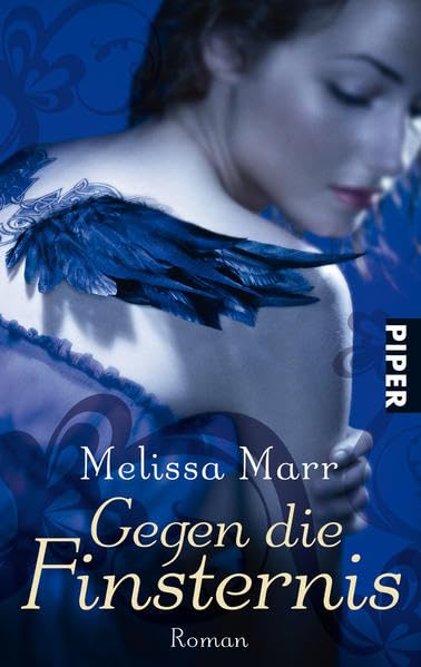 Gegen die Finsternis: Roman (Sommerlicht-Serie, Band 25329) Contemporary literature
