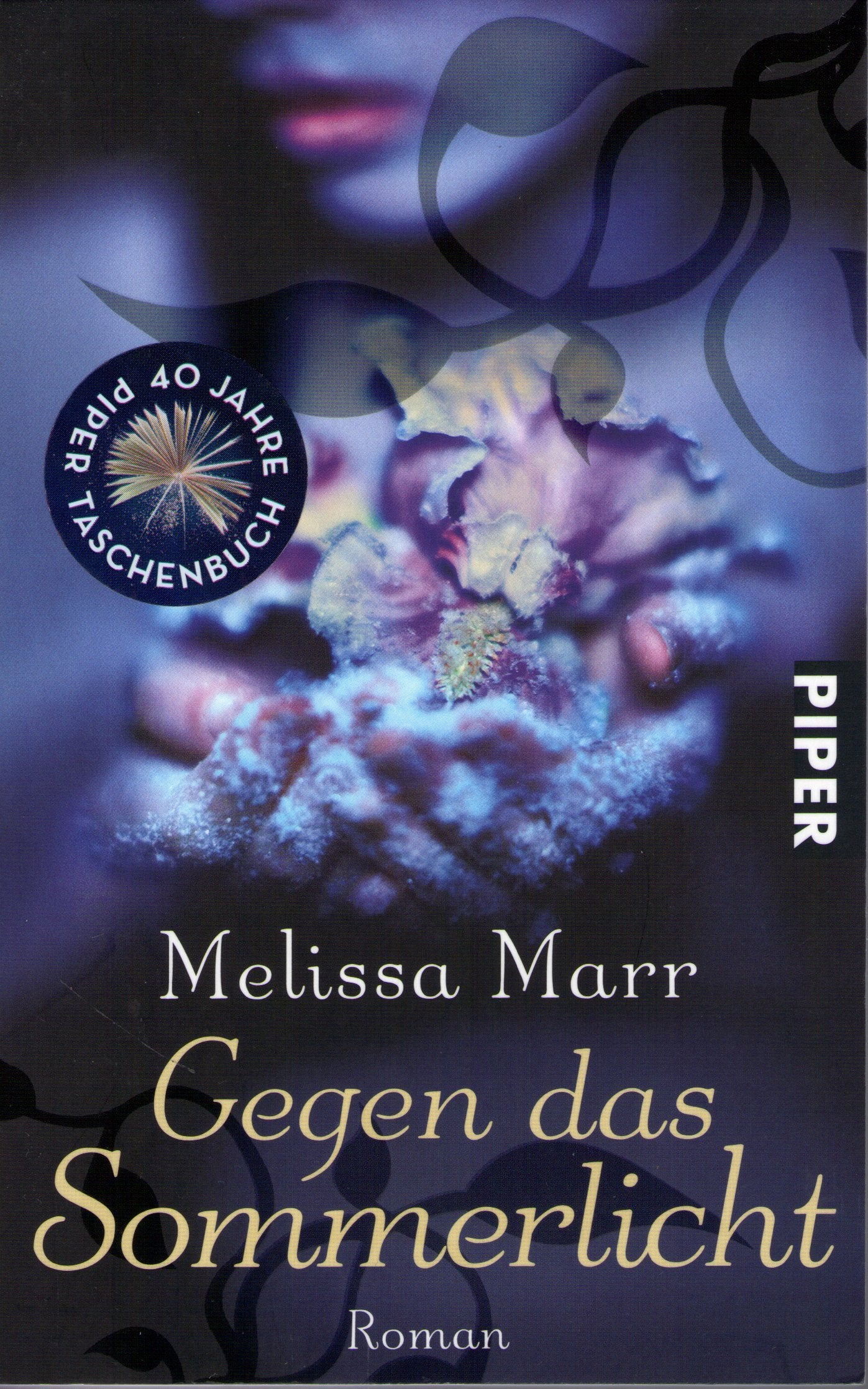 Gegen das Sommerlicht: Roman (Sommerlicht-Serie, Band 25330) Contemporary literature