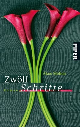 Zwölf Schritte: Roman (Piper Taschenbuch, Band 25765) Contemporary literature