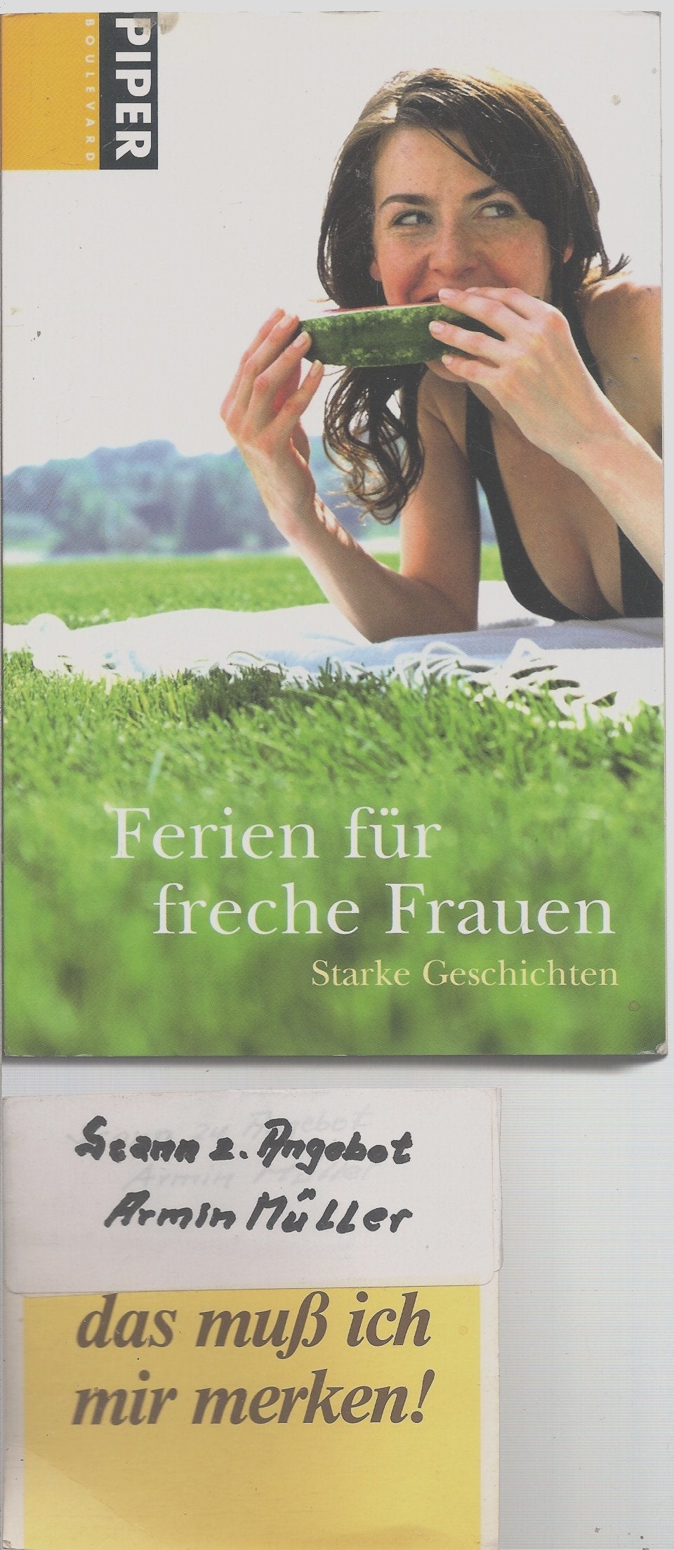 Ferien für freche Frauen: Starke Geschichten (Piper Taschenbuch, Band 6144) Contemporary literature Books