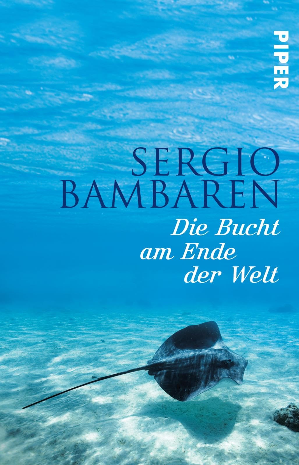 Die Bucht am Ende der Welt Contemporary literature