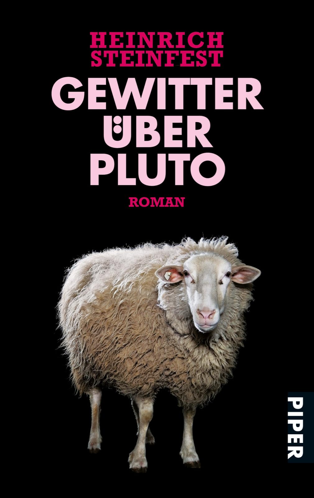 Gewitter über Pluto Contemporary literature Books