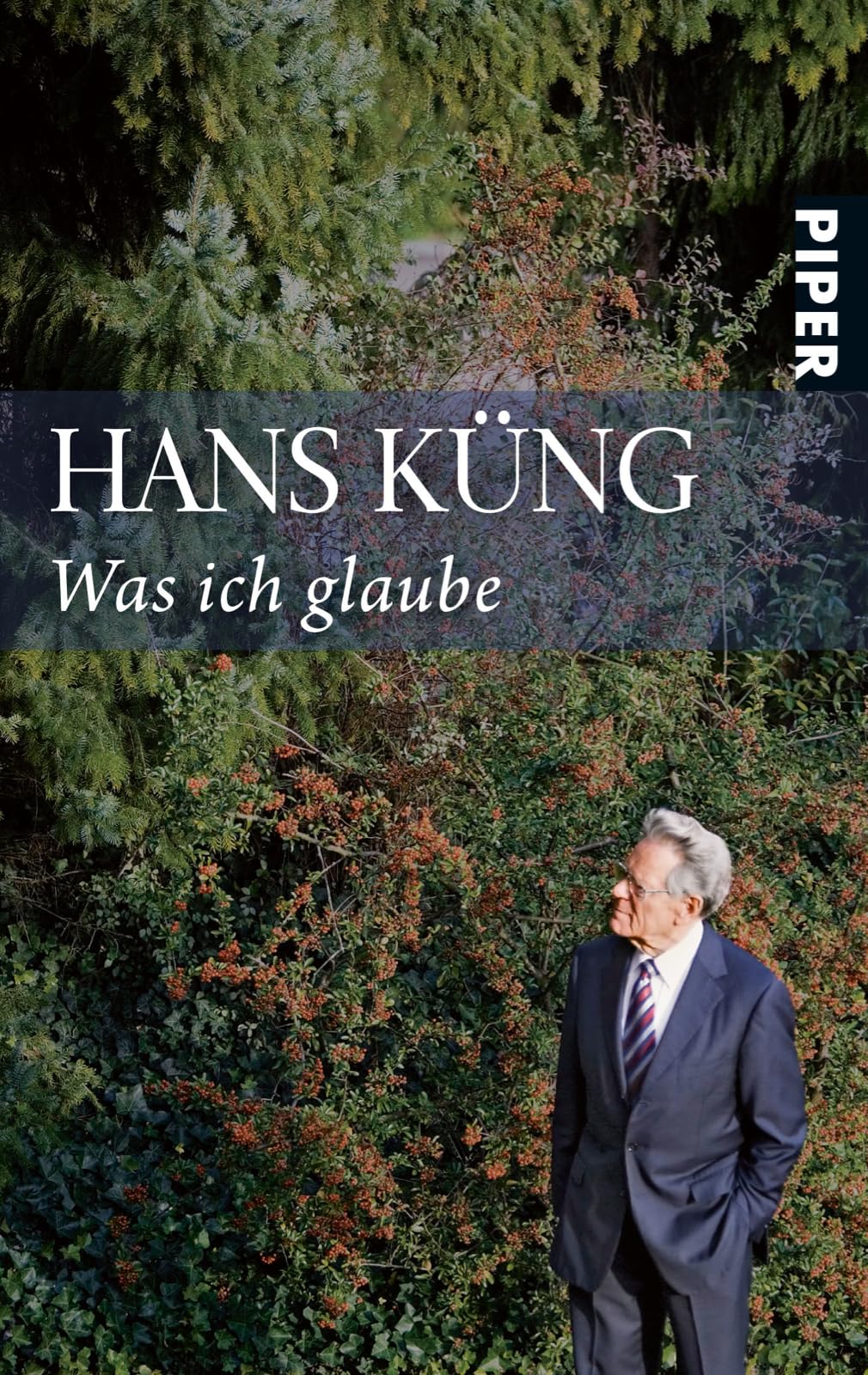 Product Image: Was ich glaube