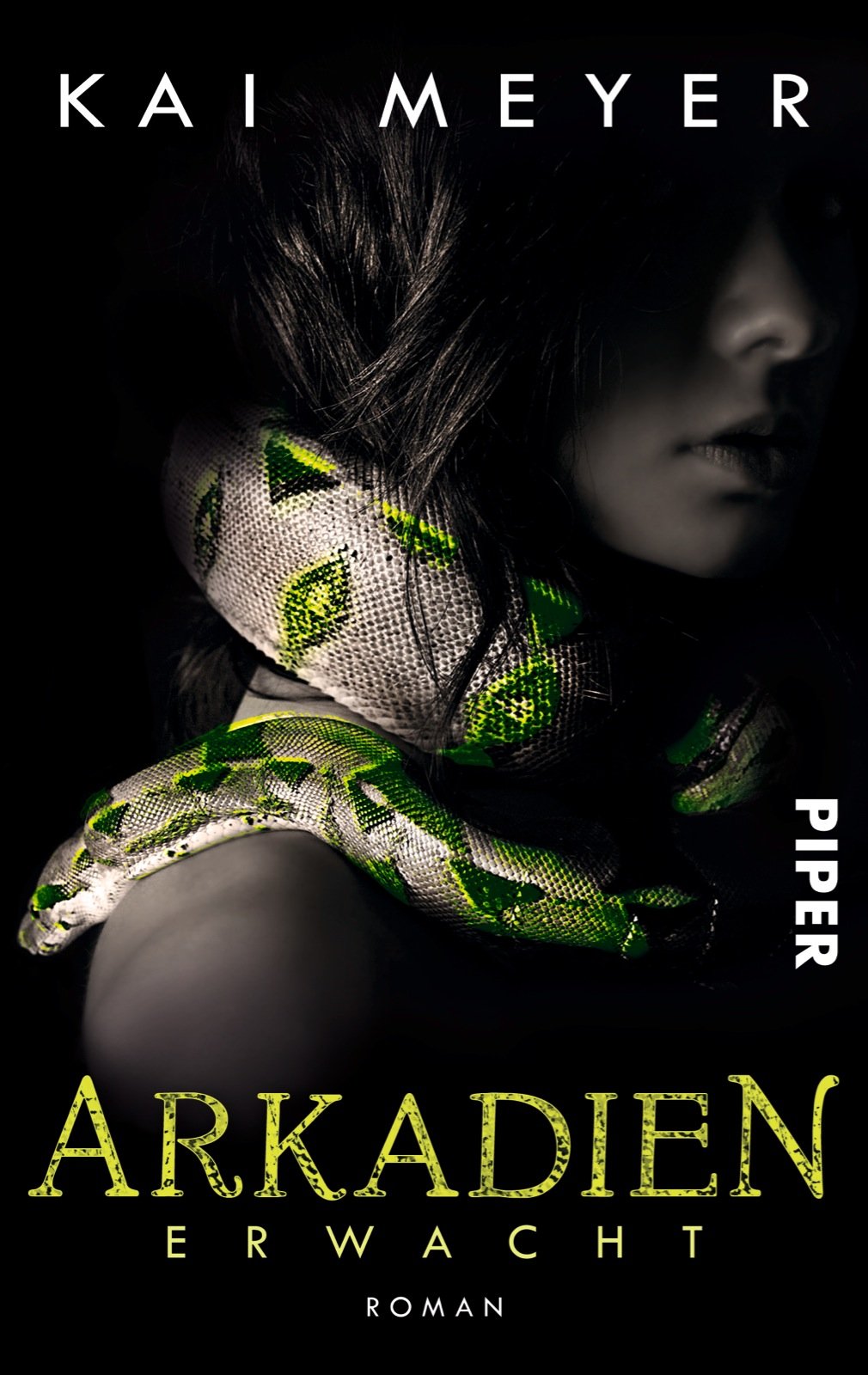 Arkadien erwacht: Roman (Arkadien 1) (Arkadien-Reihe, Band 1) Contemporary literature