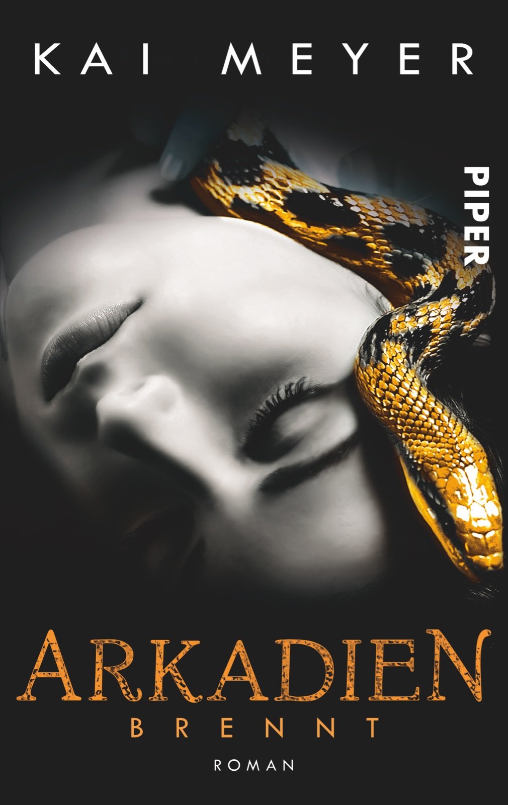 Arkadien brennt: Roman (Arkadien 2) (Arkadien-Reihe, Band 2) Contemporary literature