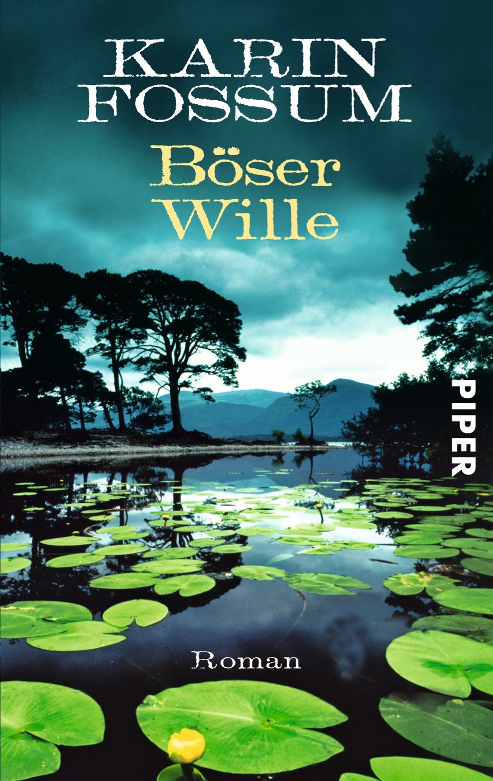 Böser Wille Contemporary literature Books