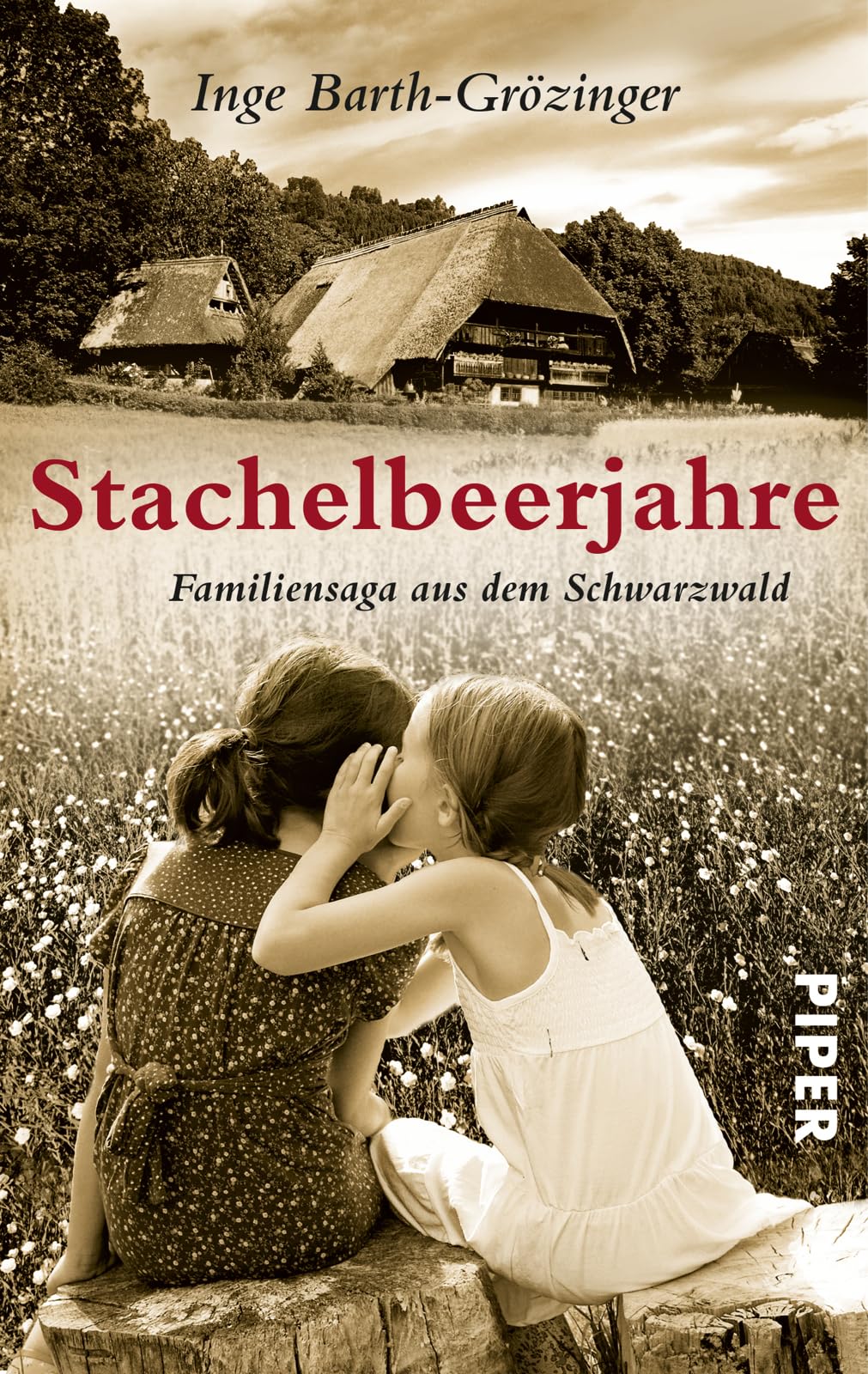 Stachelbeerjahre Contemporary literature