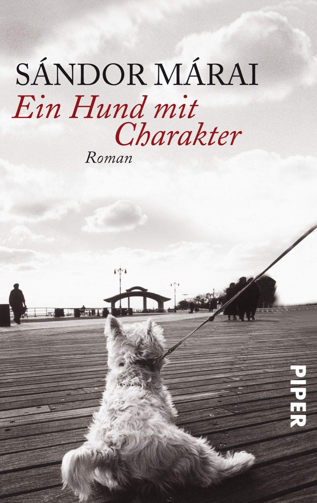 Product Image: Ein Hund mit Charakter