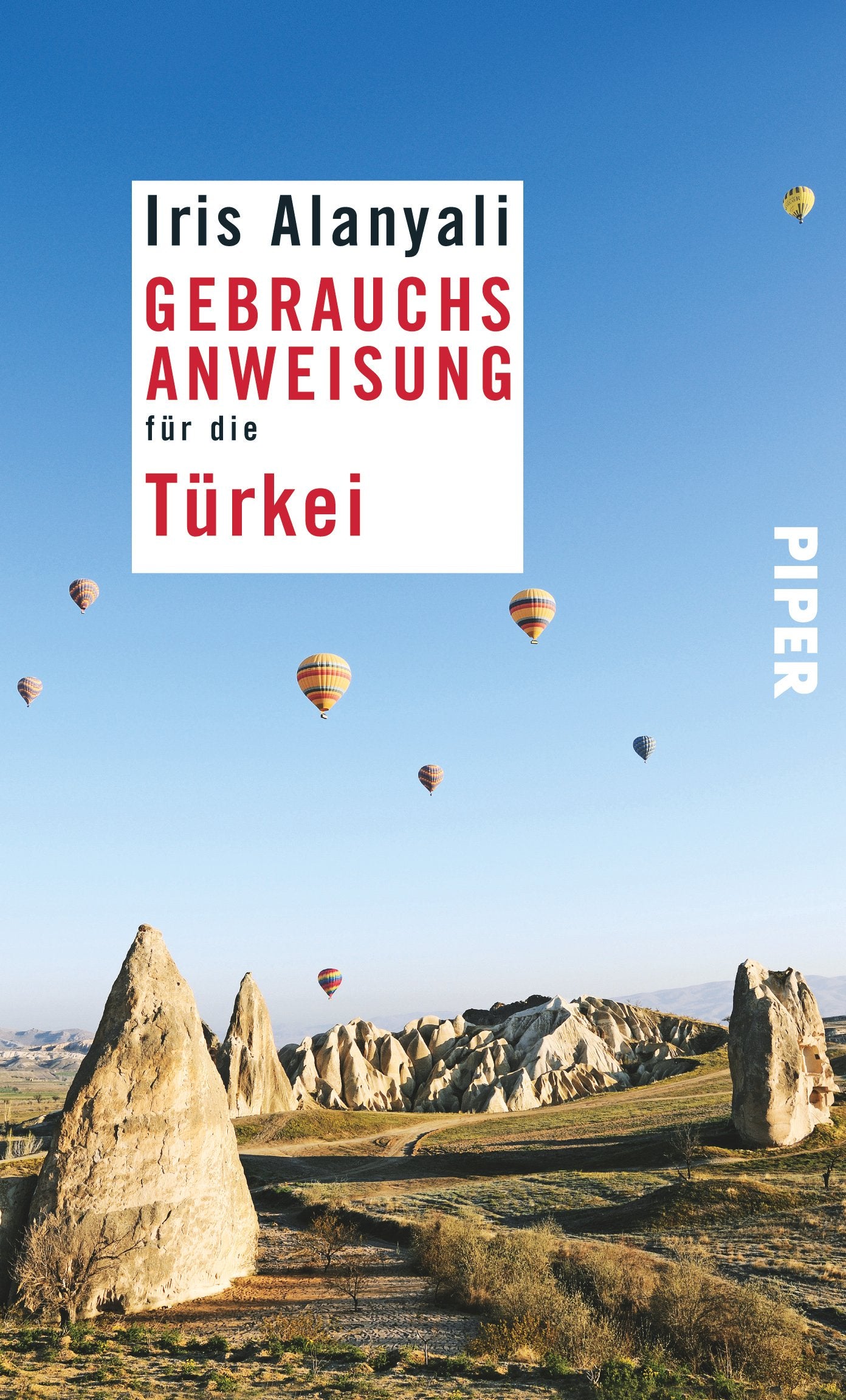 Gebrauchsanweisung für die Türkei Social Sciences