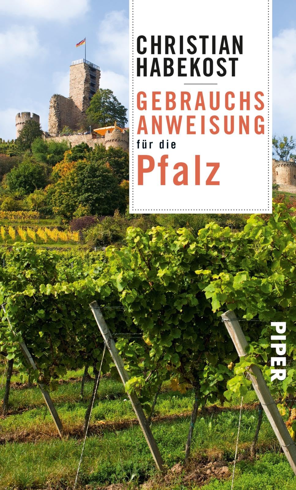 Gebrauchsanweisung für die Pfalz Social Sciences