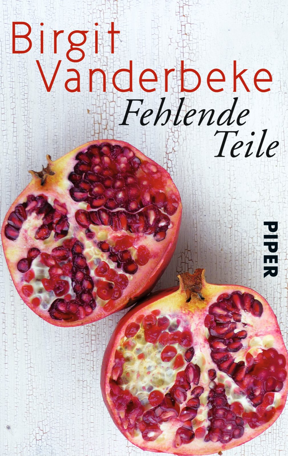 Fehlende Teile: Erzählung (Piper Taschenbuch, Band 30097) Contemporary literature