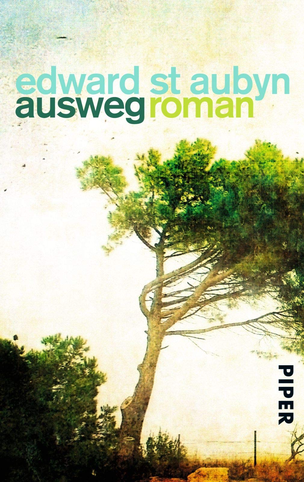Ausweg Contemporary literature Books