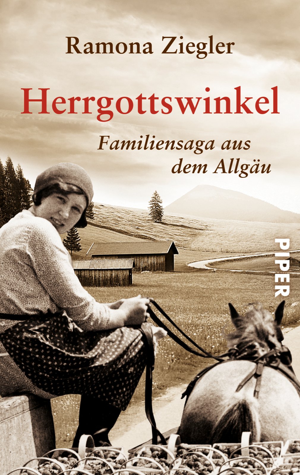 Herrgottswinkel Contemporary literature Books