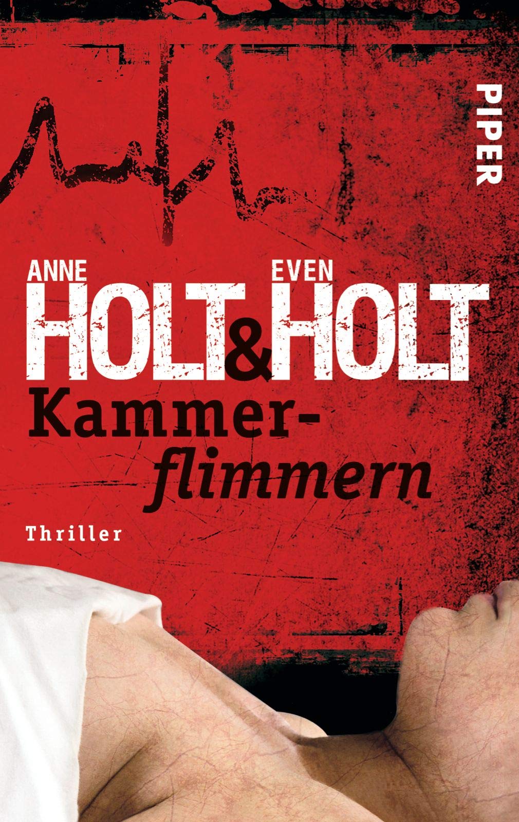 Kammerflimmern Contemporary literature Books