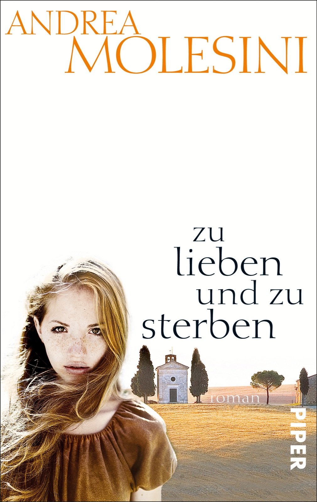 zu lieben und zu sterben: Roman Contemporary literature