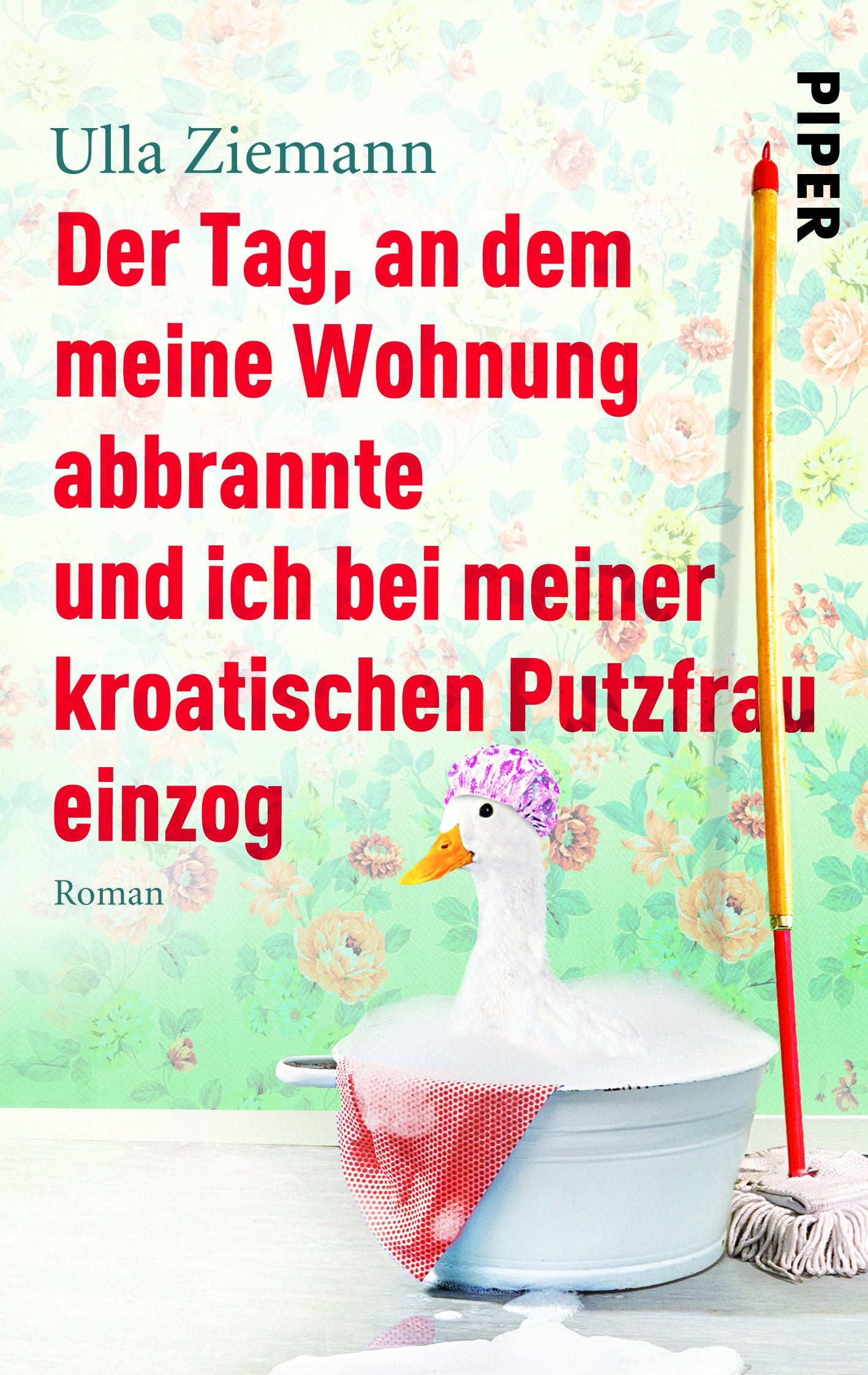 Der Tag, an dem meine Wohnung abbrannte und ich bei meiner kroatischen Putzfrau einzog: Roman Humour & Satire
