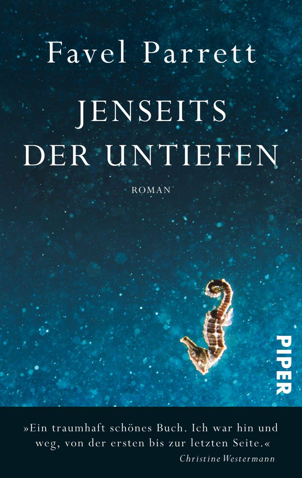 Jenseits der Untiefen Contemporary literature Books