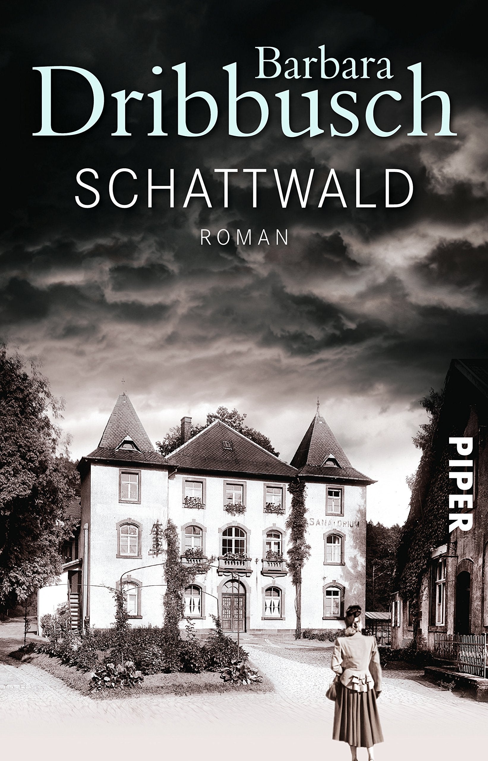 Schattwald Contemporary literature Books